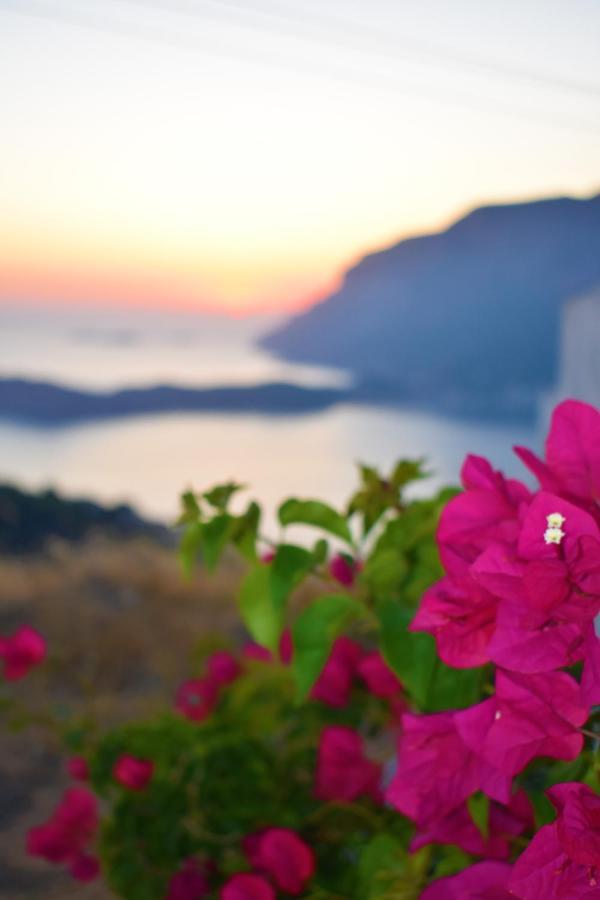 Villa Marzi Kalymnos Kamari  Exterior photo